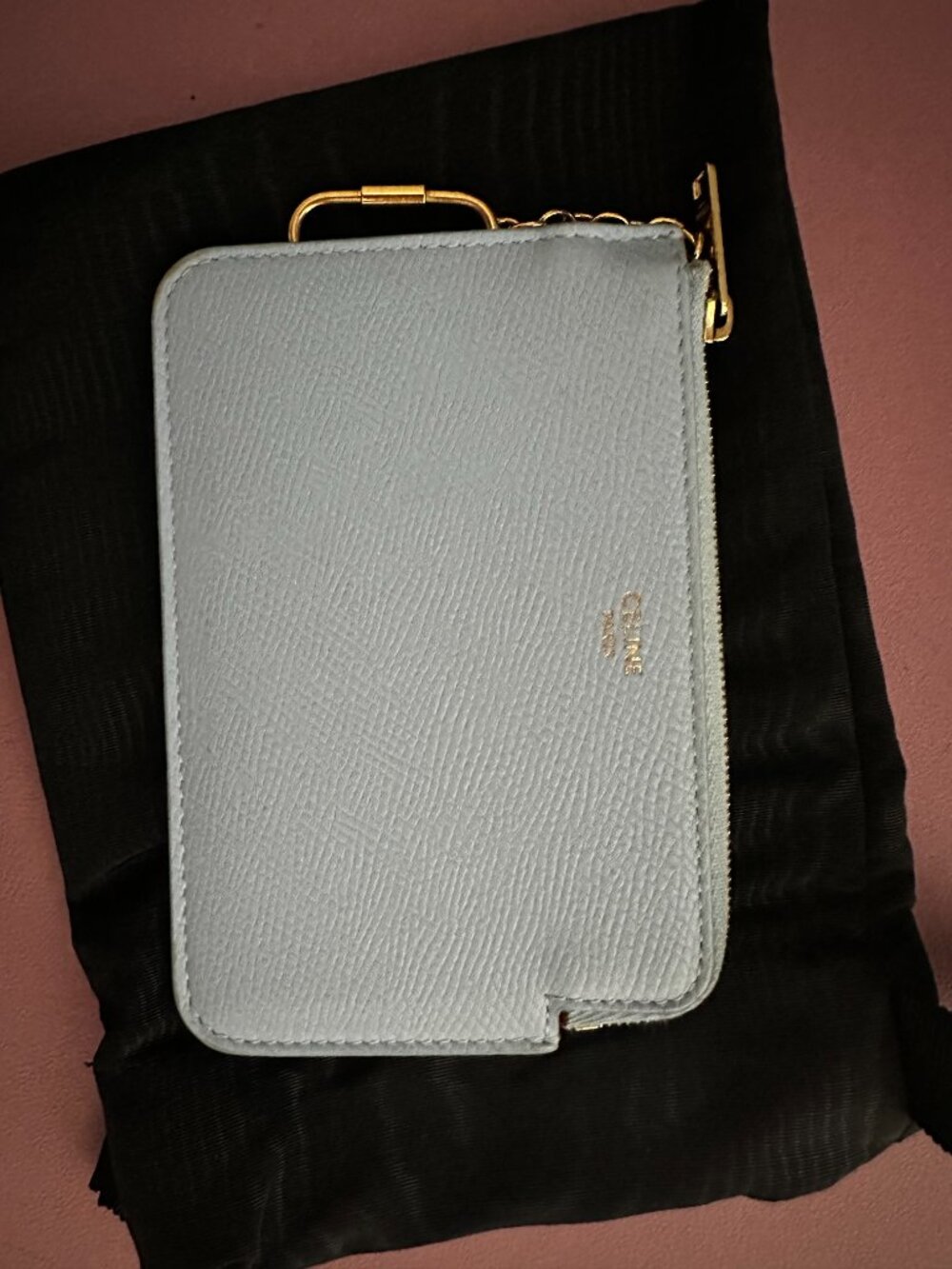CELINE Light Blue Grained Calfskin Zip Card and Coin Pouch with hook - Picture 4 of 6